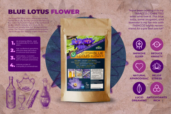 Ceremonial Grade Ancient Egyptian Blue Lotus Dried Whole Flower Herbal For Tea, Essential Oil, Recreational Purposes & Wine - Image 2