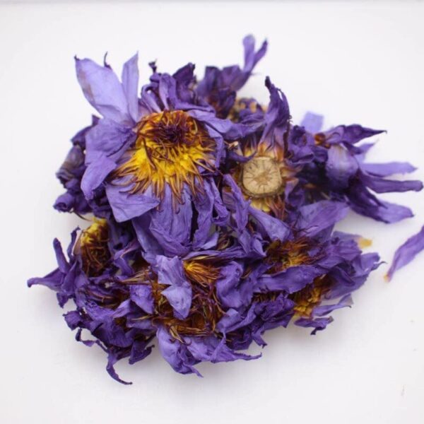 Ceremonial Grade Ancient Egyptian Blue Lotus Dried Whole Flower Herbal For Tea, Essential Oil, Recreational Purposes & Wine - Image 4