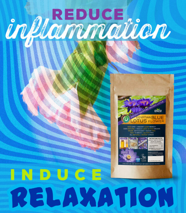 Ceremonial Grade Ancient Egyptian Blue Lotus Dried Whole Flower Herbal For Tea, Essential Oil, Recreational Purposes & Wine - Image 7